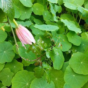 Meet your Posher, Eileen